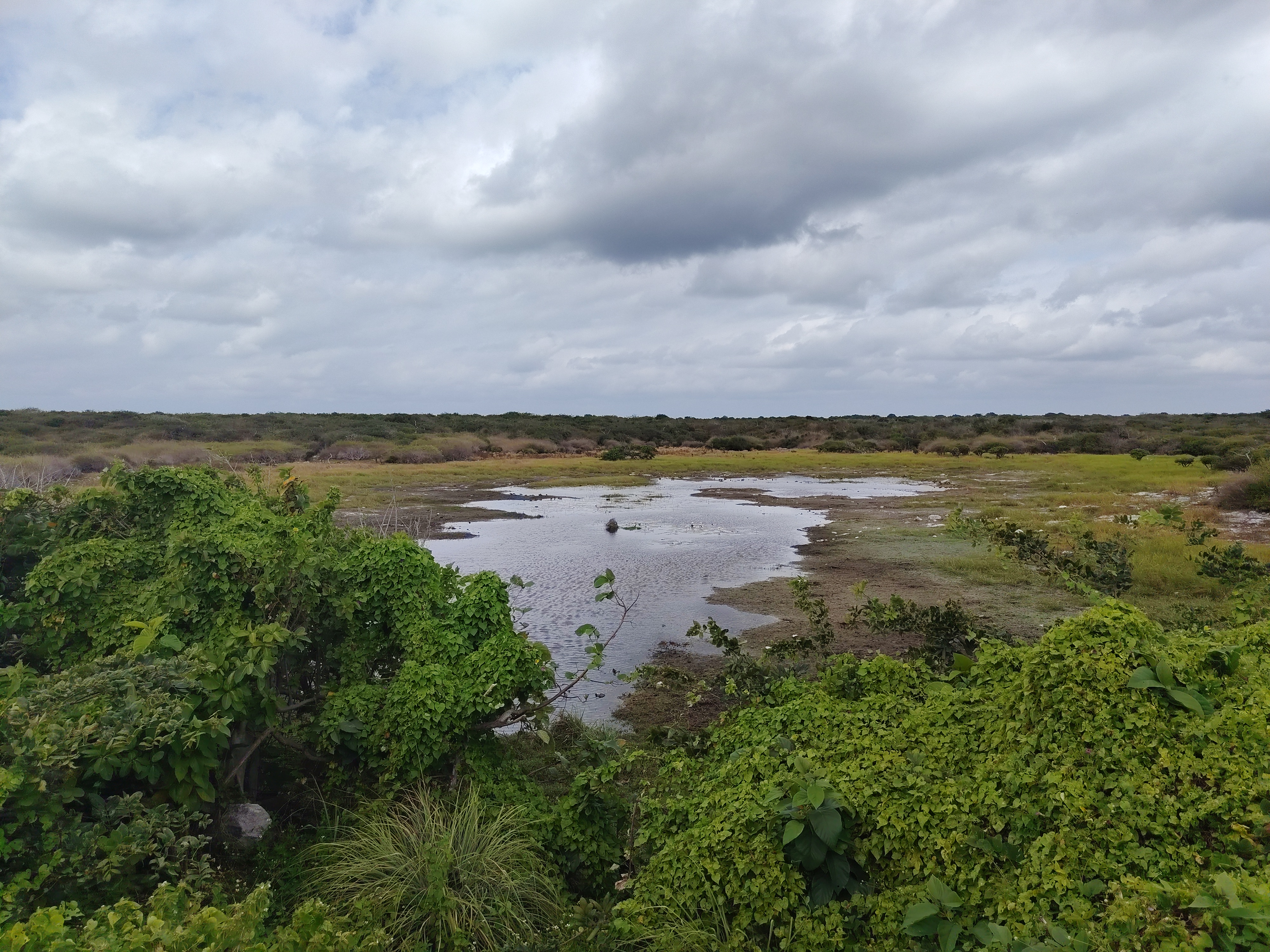 Fotografía de campo, Quintana Roo
