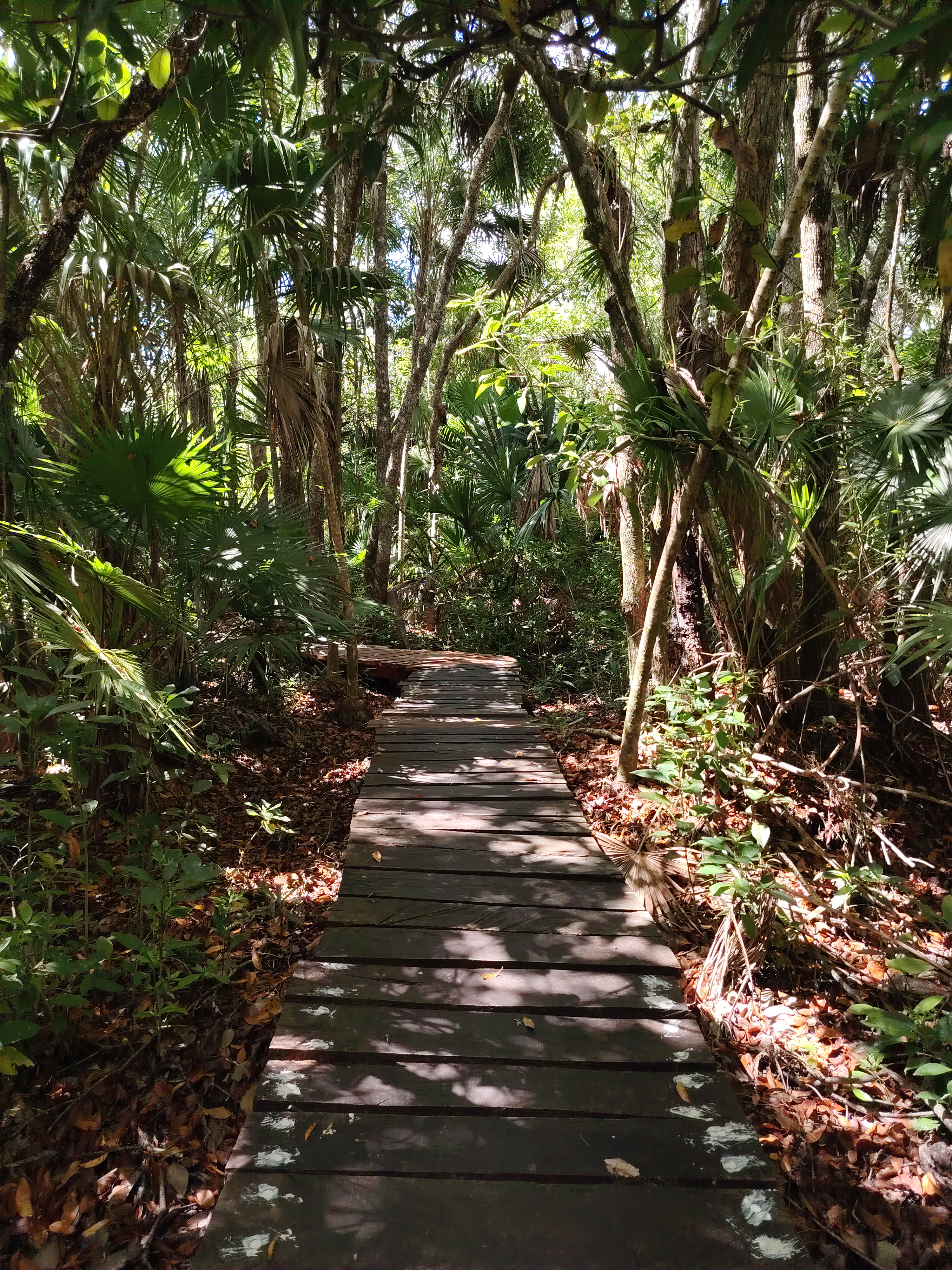 Fotografía de campo, Quintana Roo